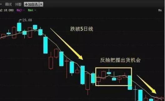 炒股成功故事_炒股故事成功的原因_炒股成功真实案例故事