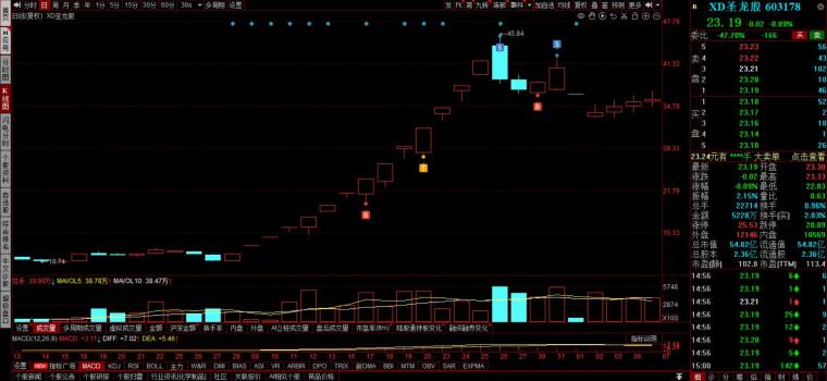 炒股成功故事_心理承受能力锻炼_大学生炒股经历