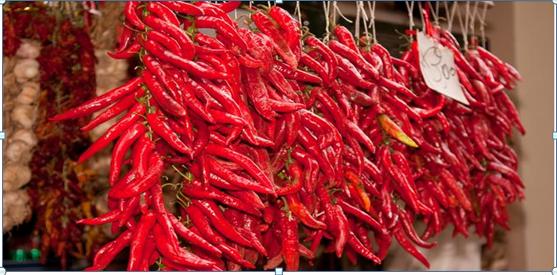 卖辣椒技巧_炒股成功故事_股市操作策略