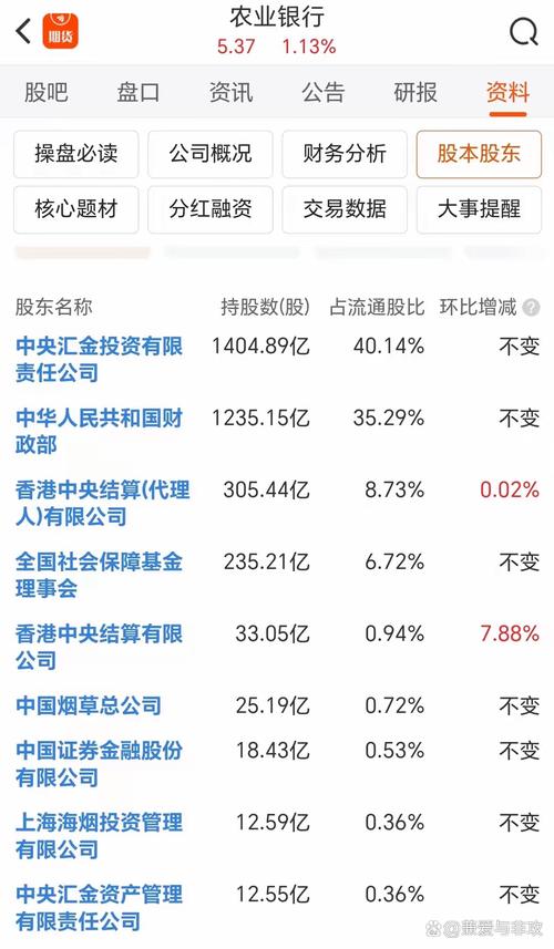 667369是什么股票代码_股票600739投资分析_中国农业银行股票600739