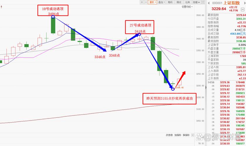 水井坊主力净流入_资金分析_水井坊股票行情走势