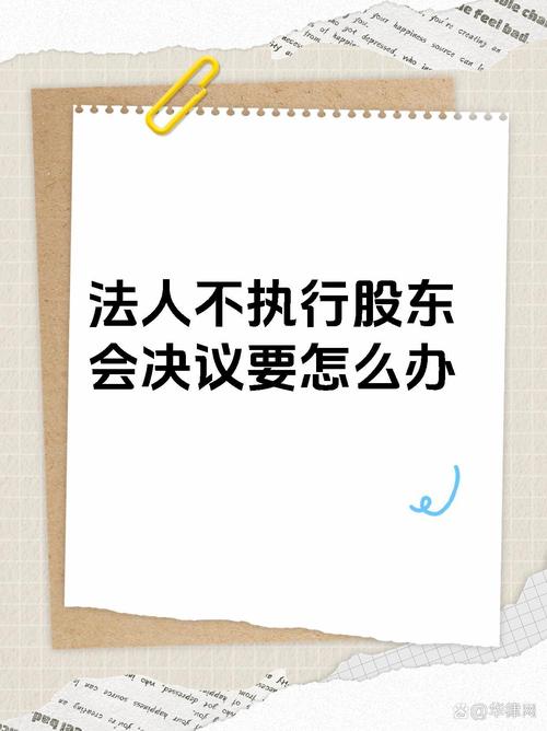 法人没有股份能当吗？从法律规定看其任职可能性解析