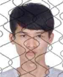 广西田林县人民法院失信被执行人_广西世创房地产投资有限公司 失信被执行人_田林县失信被执行人名单