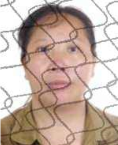 广西世创房地产投资有限公司 失信被执行人_广西田林县人民法院失信被执行人_田林县失信被执行人名单