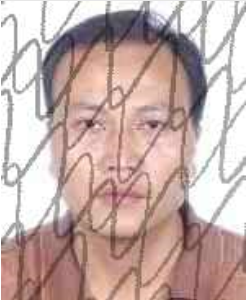 广西田林县人民法院失信被执行人_广西世创房地产投资有限公司 失信被执行人_田林县失信被执行人名单