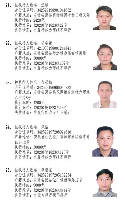 广西田林县人民法院失信被执行人_田林县失信被执行人名单_广西世创房地产投资有限公司 失信被执行人