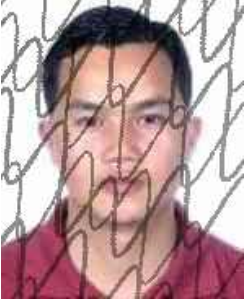 广西田林县人民法院失信被执行人_广西世创房地产投资有限公司 失信被执行人_田林县失信被执行人名单