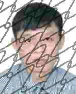 广西田林县人民法院失信被执行人_广西世创房地产投资有限公司 失信被执行人_田林县失信被执行人名单