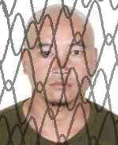 广西田林县人民法院失信被执行人_广西世创房地产投资有限公司 失信被执行人_田林县失信被执行人名单