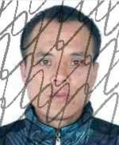 田林县失信被执行人名单_广西田林县人民法院失信被执行人_广西世创房地产投资有限公司 失信被执行人