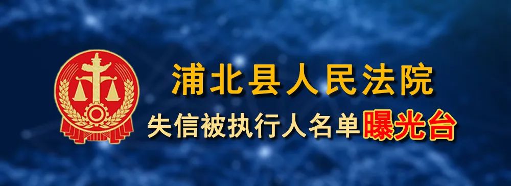 广西失信被执行人信息查询_浦北县失信被执行人名单_广西世创房地产投资有限公司 失信被执行人