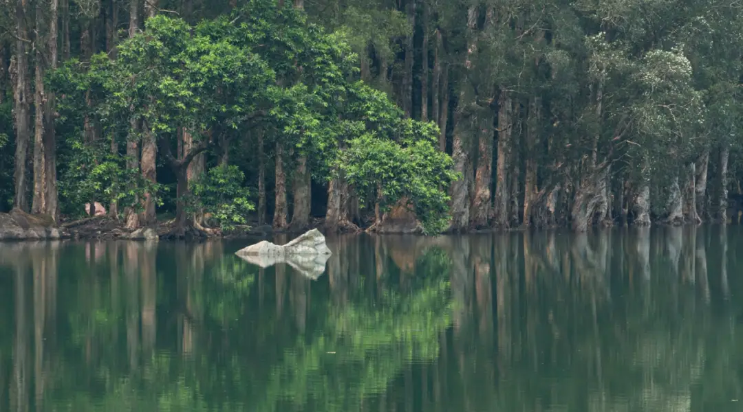 香港亲子登山好去处_香港麦理浩径起源_香港亲子徒步路线