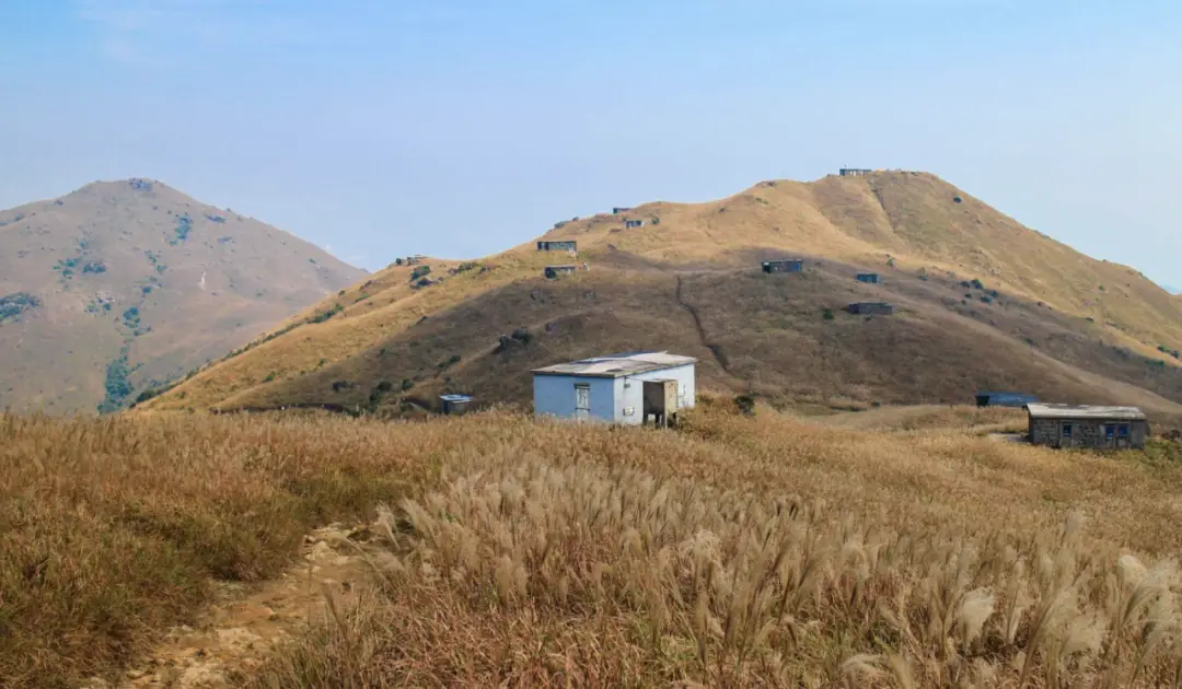 香港亲子徒步路线_香港亲子登山好去处_香港麦理浩径起源