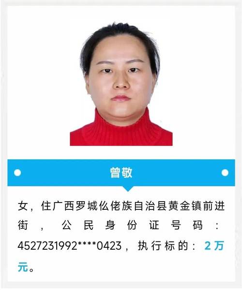 罗城仫佬族自治县失信被执行人名单_广西失信被执行人信息查询_广西世创房地产投资有限公司 失信被执行人