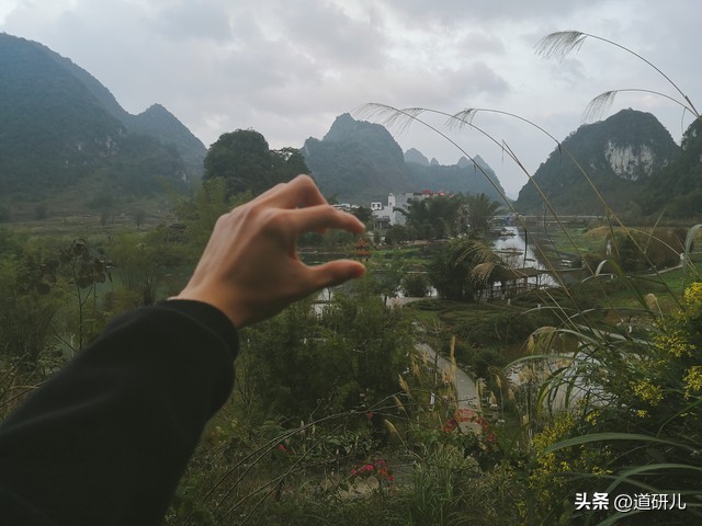 指数基金管理费_主题基金收益_基金申购确认时间