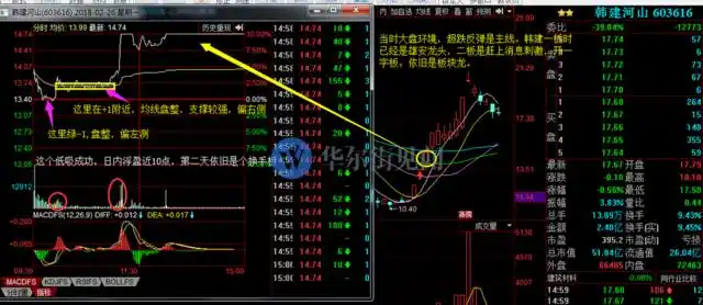 如何进行龙头股低吸？一文详解低吸模式及操作要点