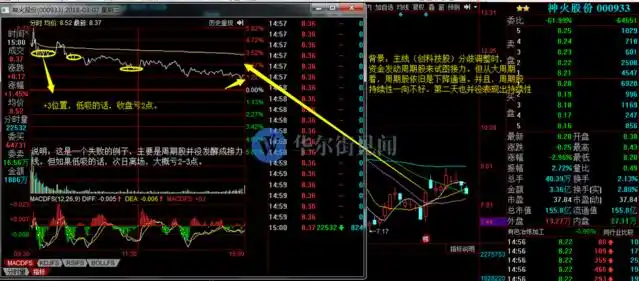 主升阶段分时低吸_龙头股低吸_如何知道是龙头股