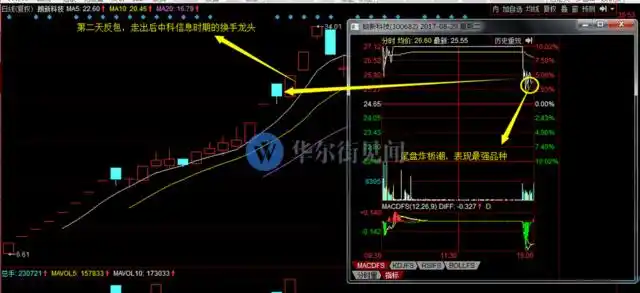 主升阶段分时低吸_龙头股低吸_如何知道是龙头股