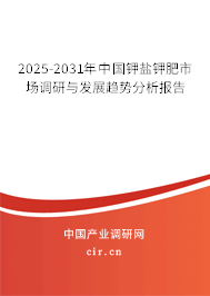 2025 - 2031年中国钾盐钾肥市场调研与发展趋势分析报