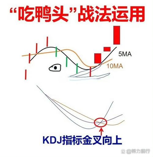 股东人数减少是利好吗_股东限制原因及解决方法_如何规避股东限制