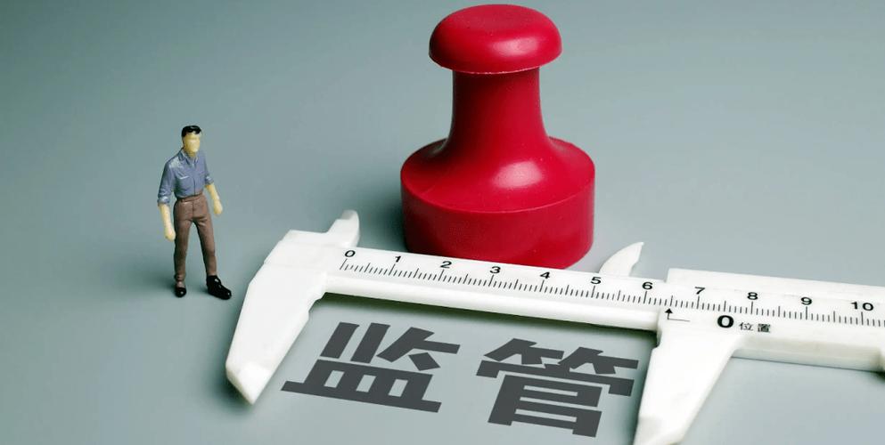 券商看门人责任_中原证券招股说明书_注册制下券商中介机构监管