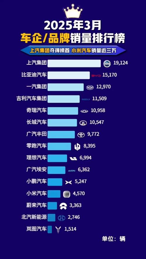 小米汽车销量数据_沈阳华贯汽车数据平台_汽车持有量数据分析