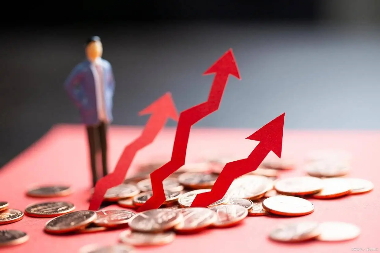 账户价值是什么意思_金融投资领域净值_净值定义