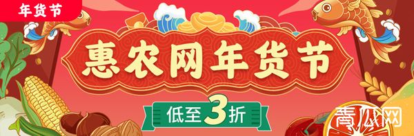 农村创业养殖选啥好？黄鼬、狮头鹅、虫子鸡了解一下