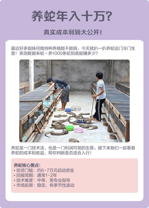 农村养蛇赚钱吗？农村偏门养殖项目有哪些？看这里