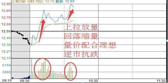 股票交易员怎么样_做T操作方法_T+0交易技巧