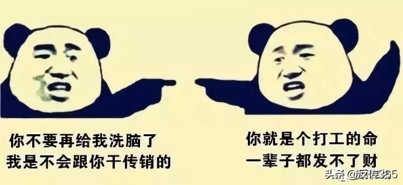 连锁经营业传销真相：上总后结局曝光，良知与金钱的抉择