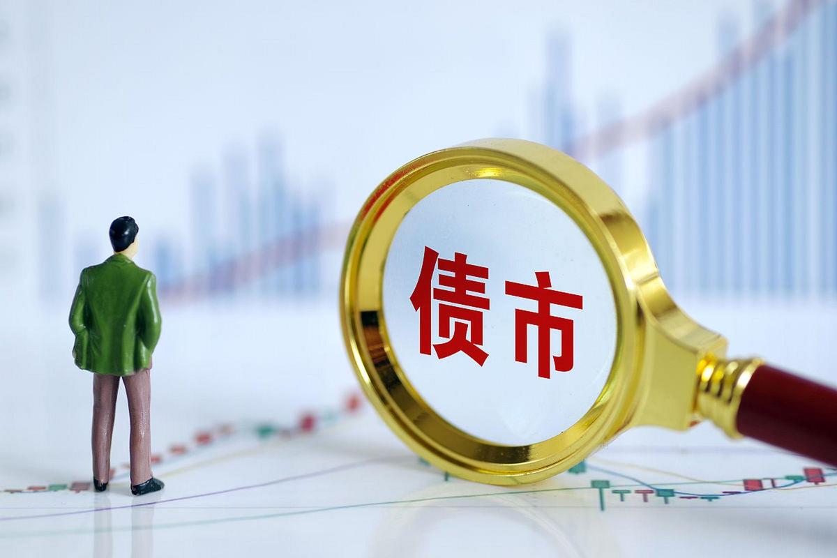 可转债基金热门赛道投资_可转债基金业绩排名_中证可转债指数基金