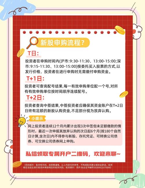 怎样打新股票流程_中签后操作_打新股流程