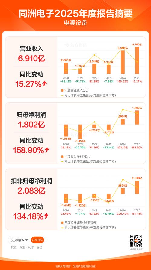 同洲电子 高 峰_同洲电子能源领域业务分析_同洲电子2025年业绩预告