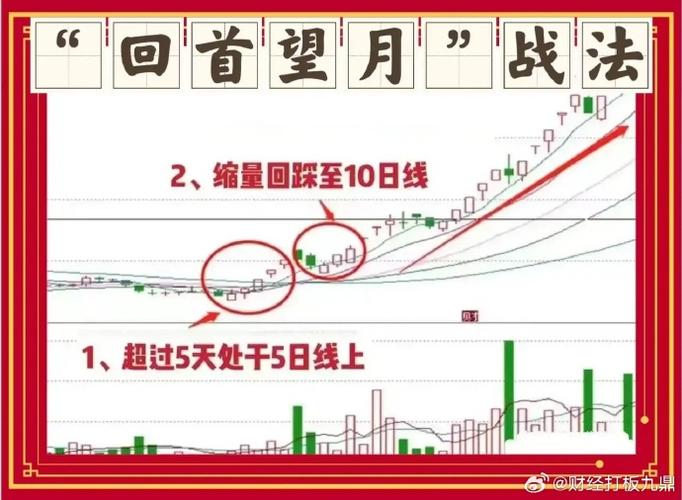 头狼战法选股技巧_头狼选股 博客_头狼买股法