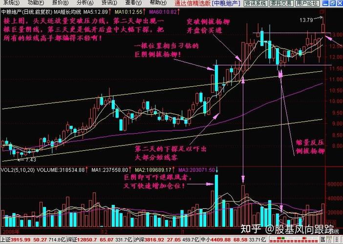 股票 半年线和年线_选股条件年线_年线选股技巧
